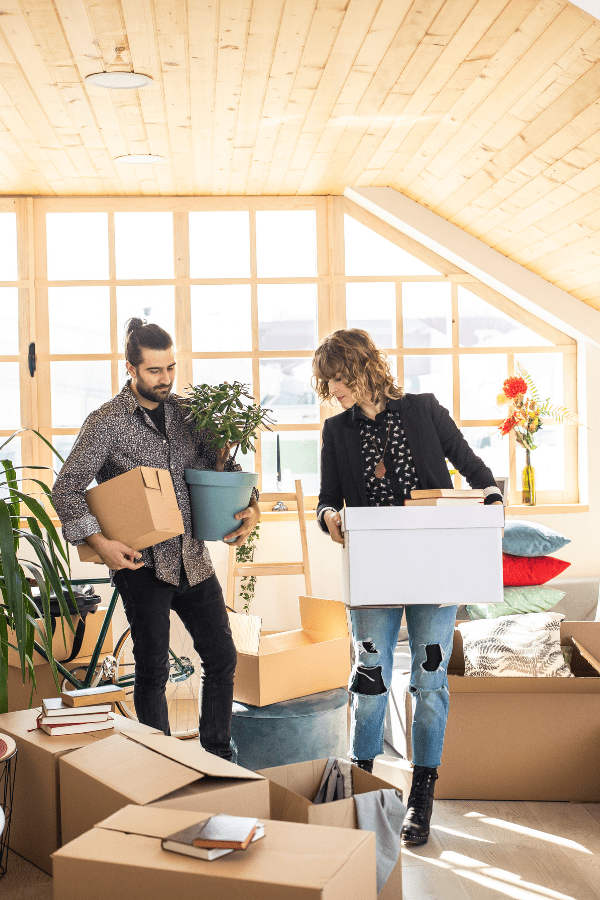 wr-surveying-rics-level-2-3-surveys-reliable-surveying