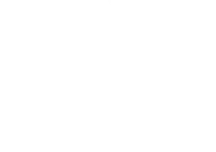 WR Surveying white submark logo